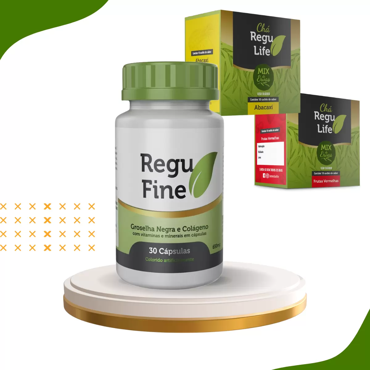 REGU FINE GROSELHA NEGRA- ORIGINAL  + 2 REGU LIFE 10 saches- SABOR FRUTAS VERMELHAS E ABACAXI